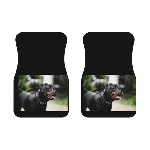 Car mats - mats, front)